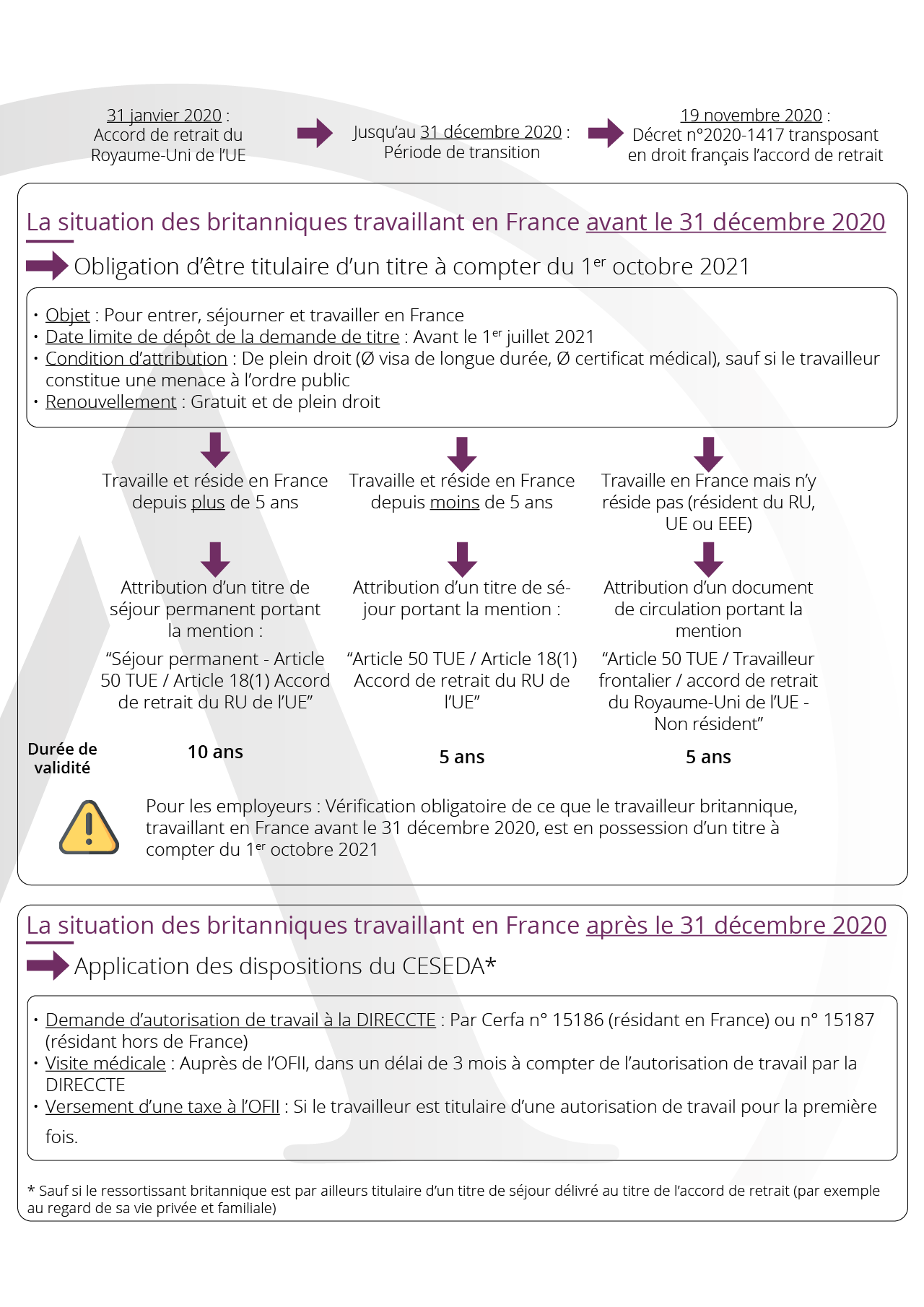 Infographie website